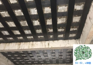 鸠江包钢加固设计